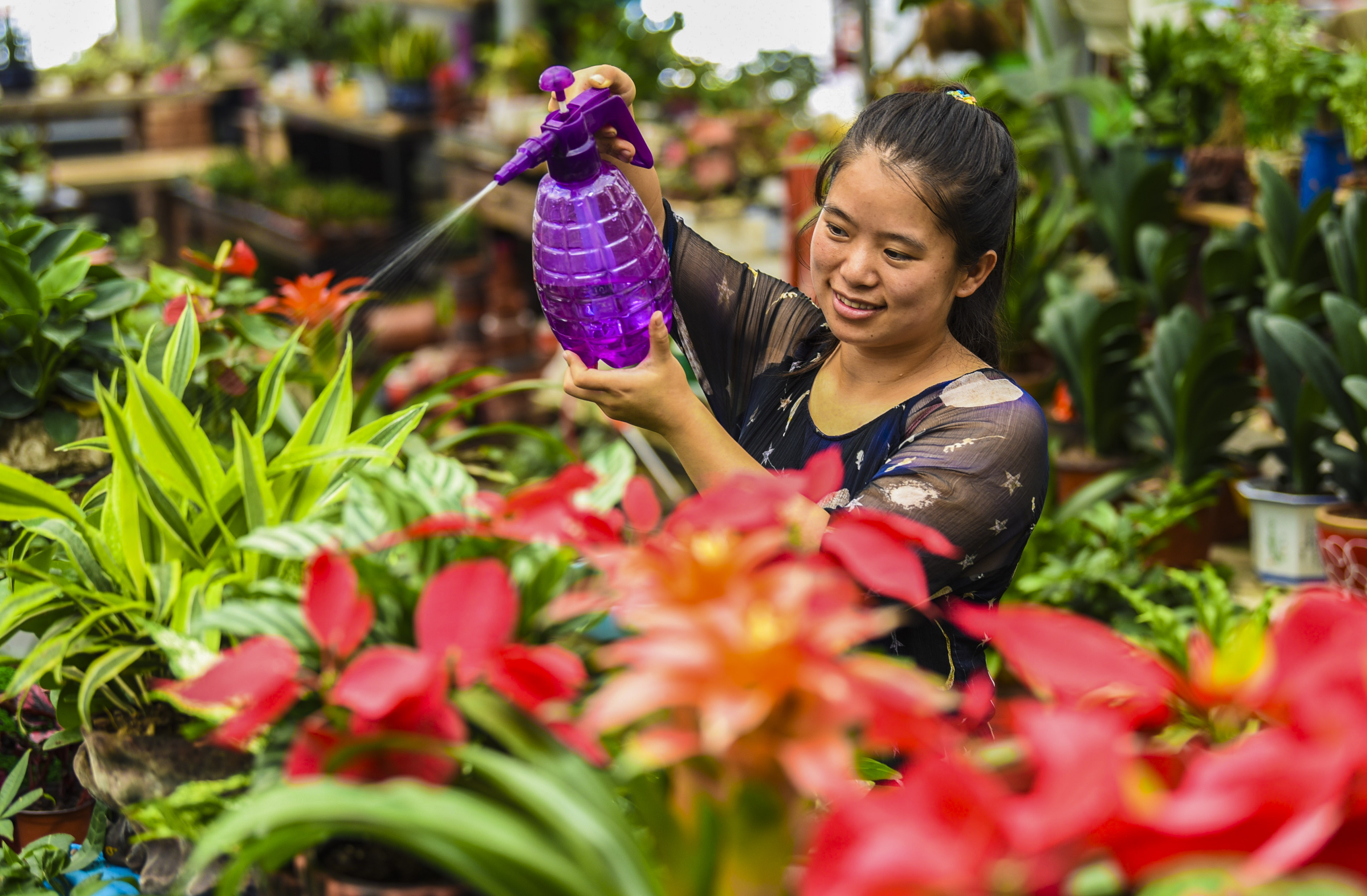 河北深州:花匠创客绽青春(1)