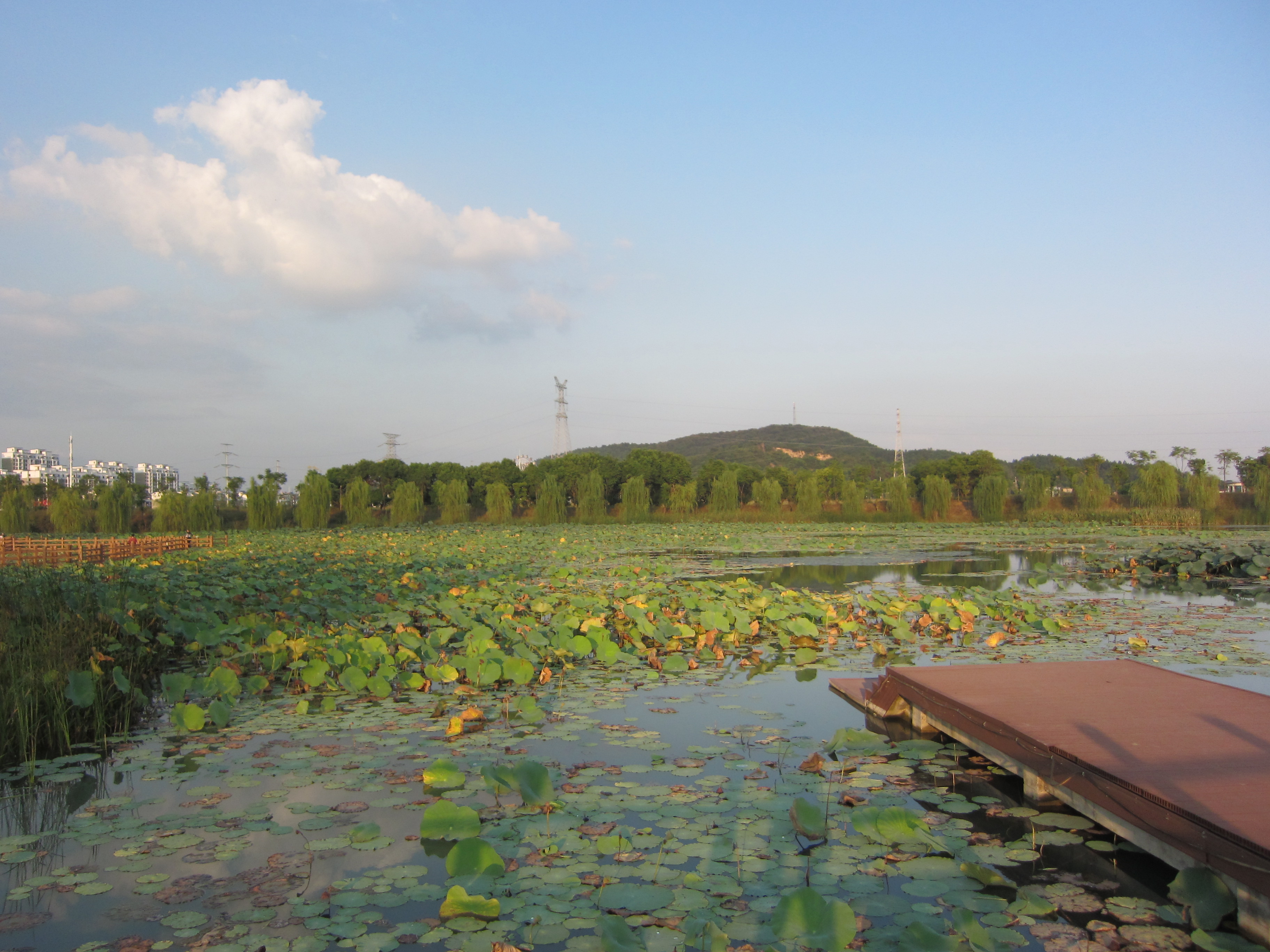 當塗縣凌雲山公園的景色真美,大詞人李之儀曾在姑溪河畔釣魚