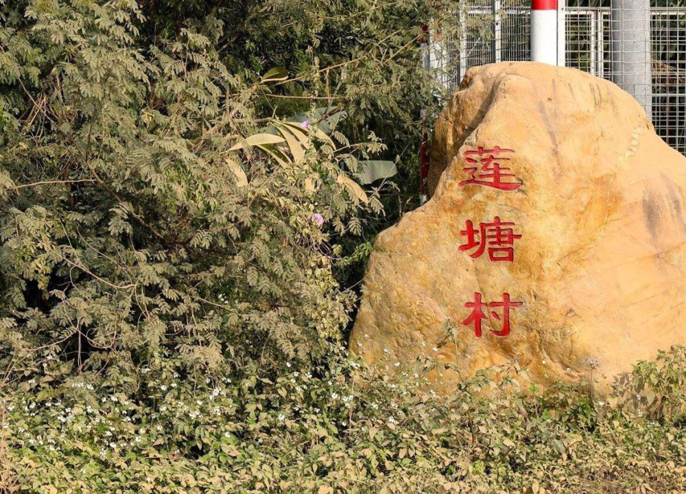 位于增城市荔城街北部的莲塘村,东临增江河,西接增派大道.