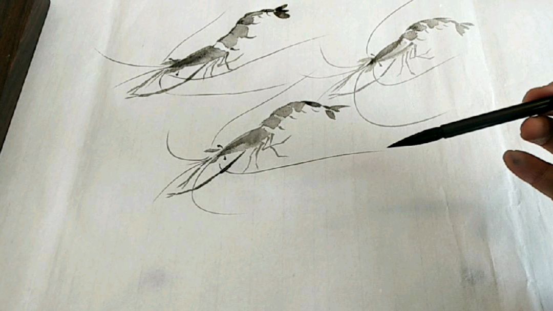 国画入门小课堂,教大家画好运虾,分解步骤,好记简单