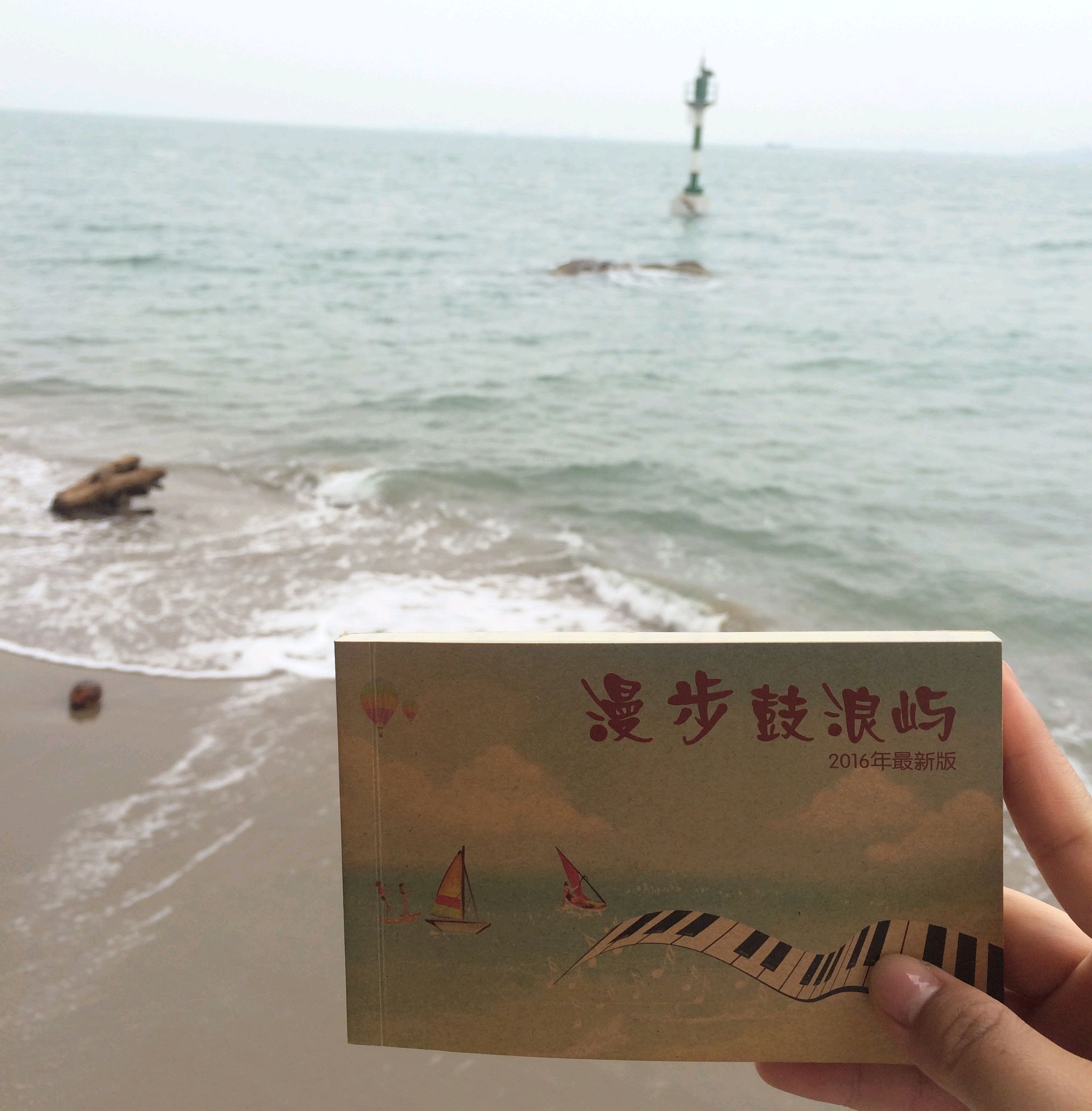 厦门海豚湾景点图片