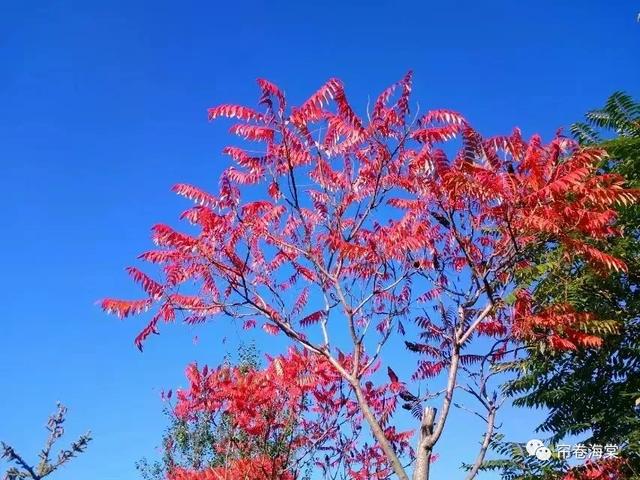 庄浪县二郎山图片