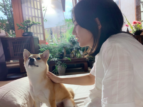 锅碗瓢盆的幸福生活,张子枫带小锅拍广告,宋茜把小碗养成"球"