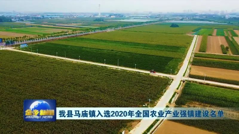 金乡县马庙镇入选2020年全国农业产业强镇建设名单