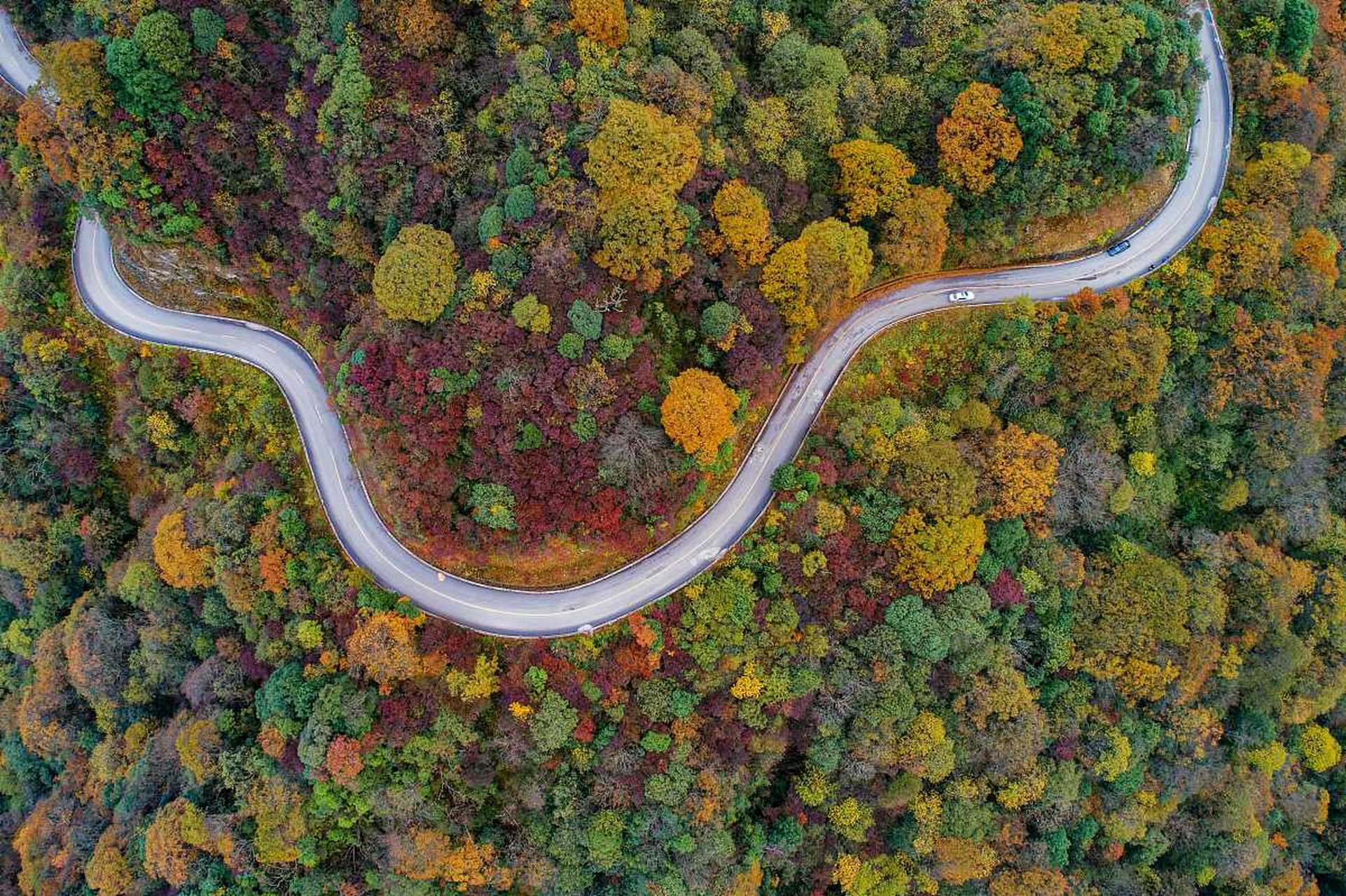 雷公山位于中国贵州省黔东南苗族侗族自治州雷山县,是贵州东部的一座