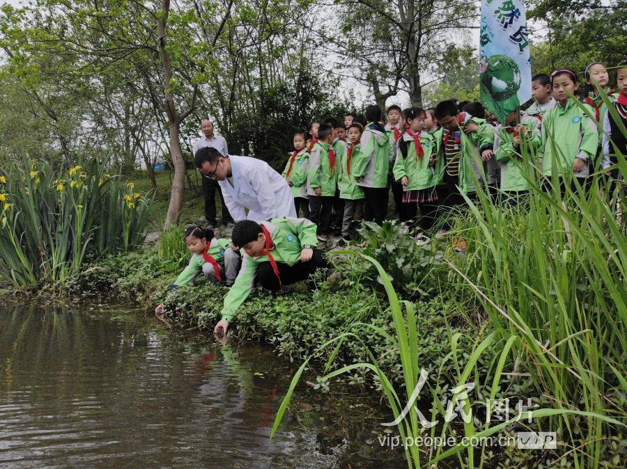 合肥:小学生体验水质检测 树立环保意识