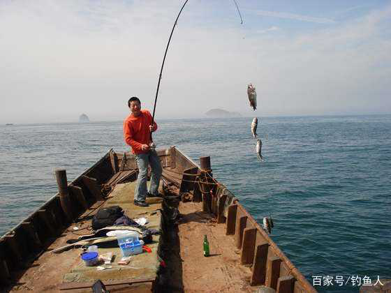 从渤海湾至最南端曾母暗沙,绵延数千公里,大海中鱼种丰富,这就为海钓