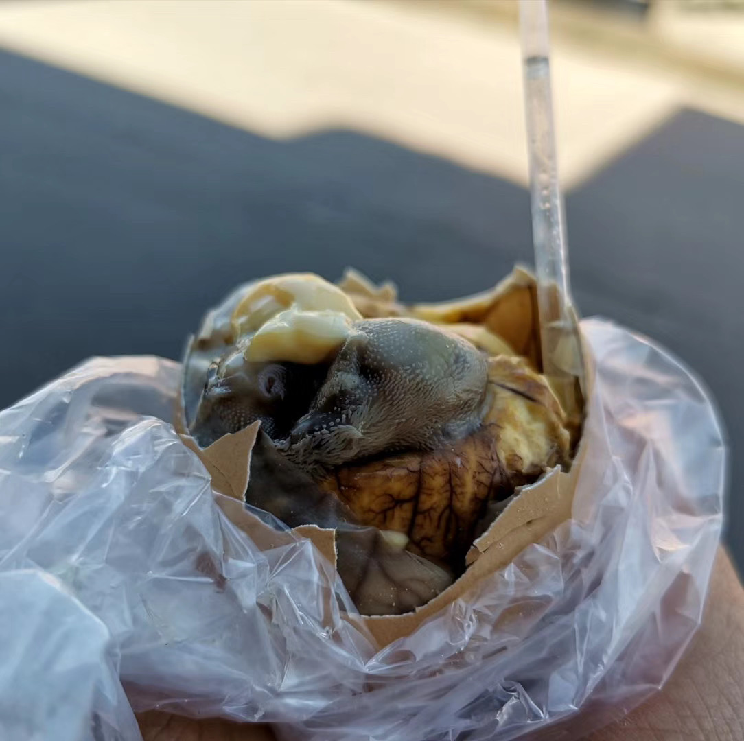 福建省平和县特色美食「鸡仔胎」江苏人称"活珠子"