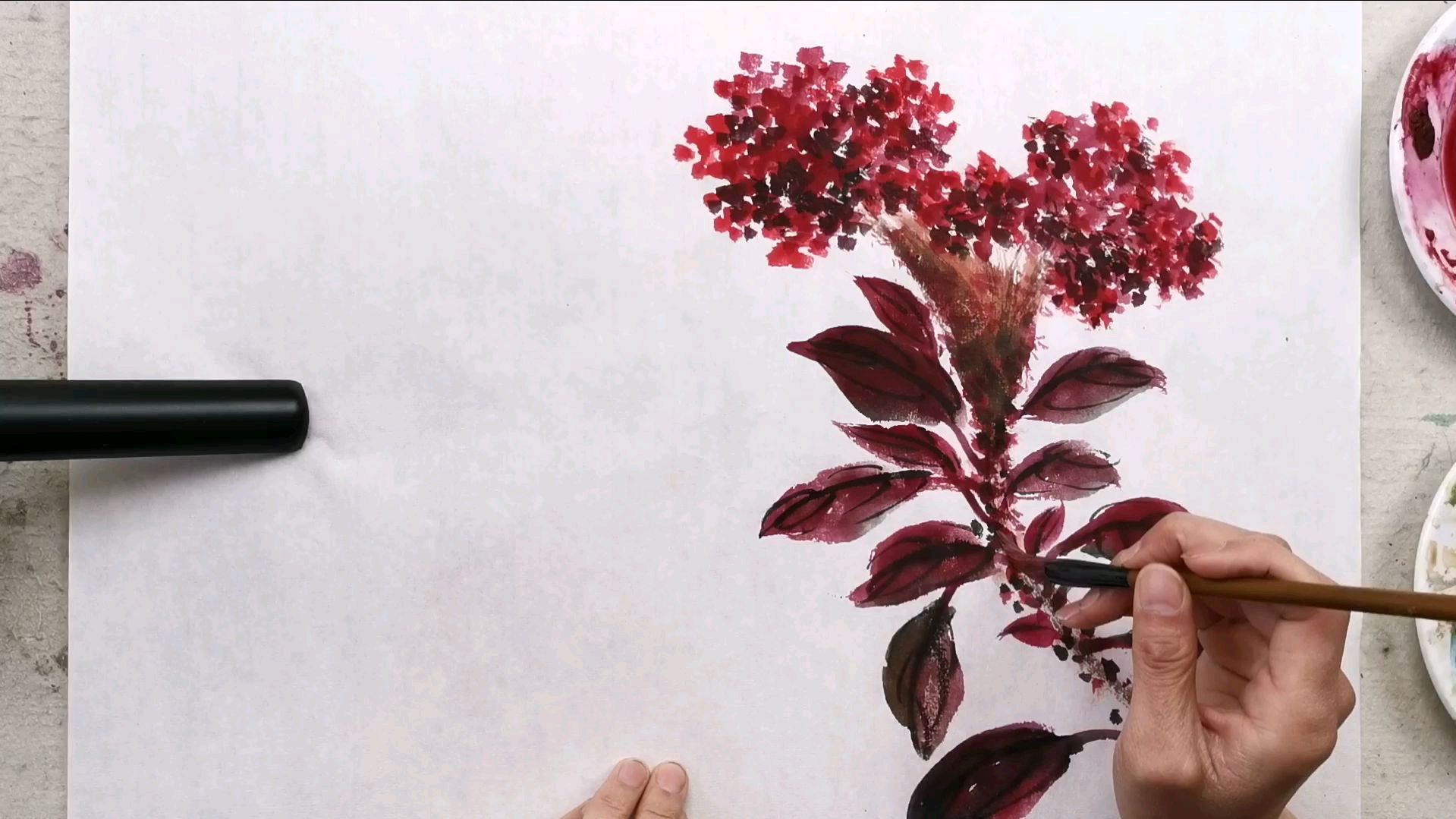 明式小写意,鸡冠花画法