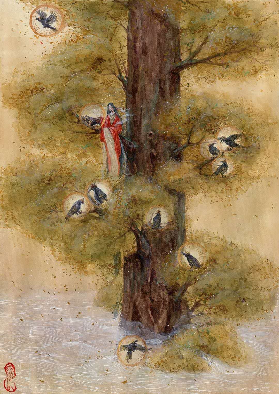 扶桑树图片(扶桑树图片大全)