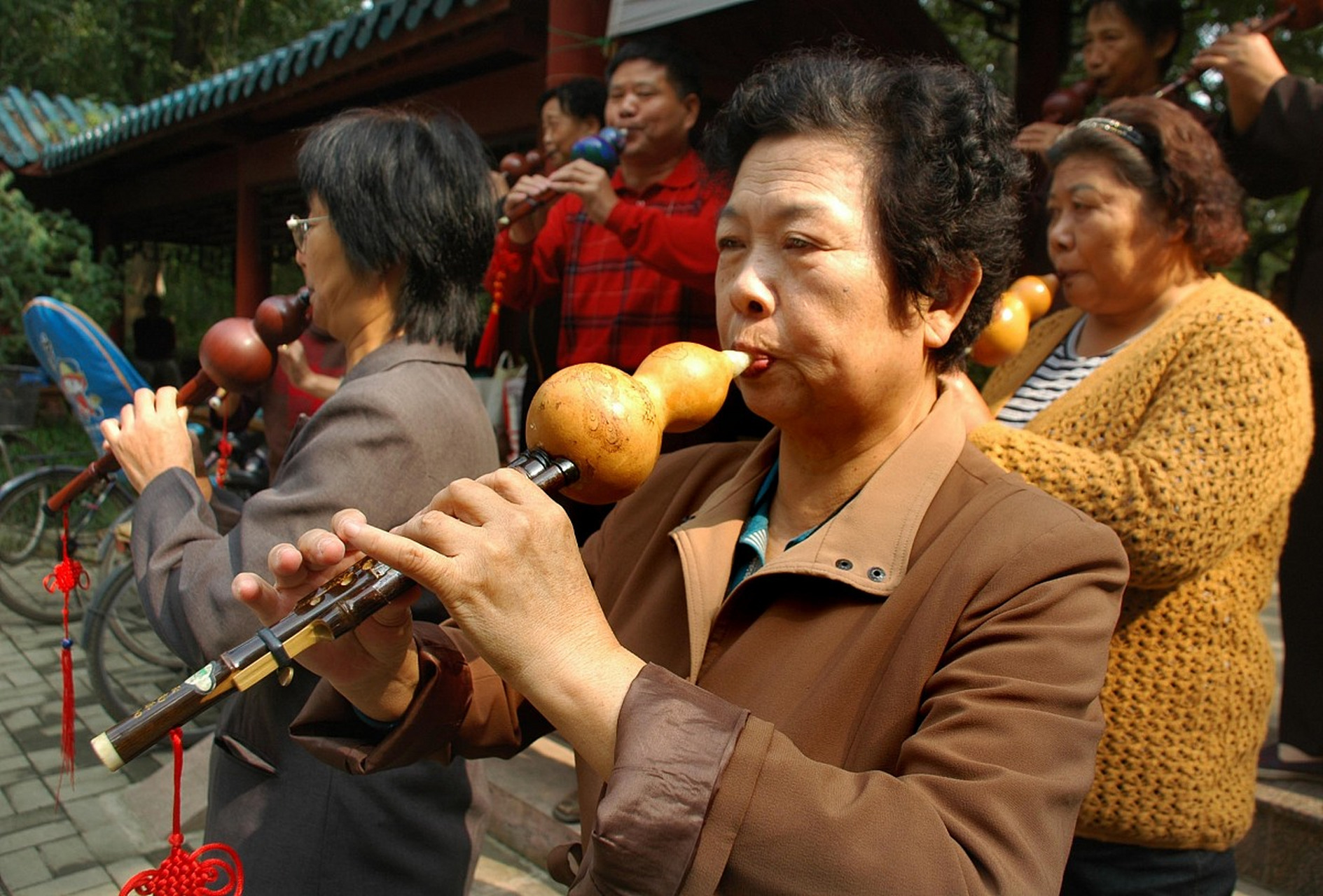 胡老二胡老太太图片