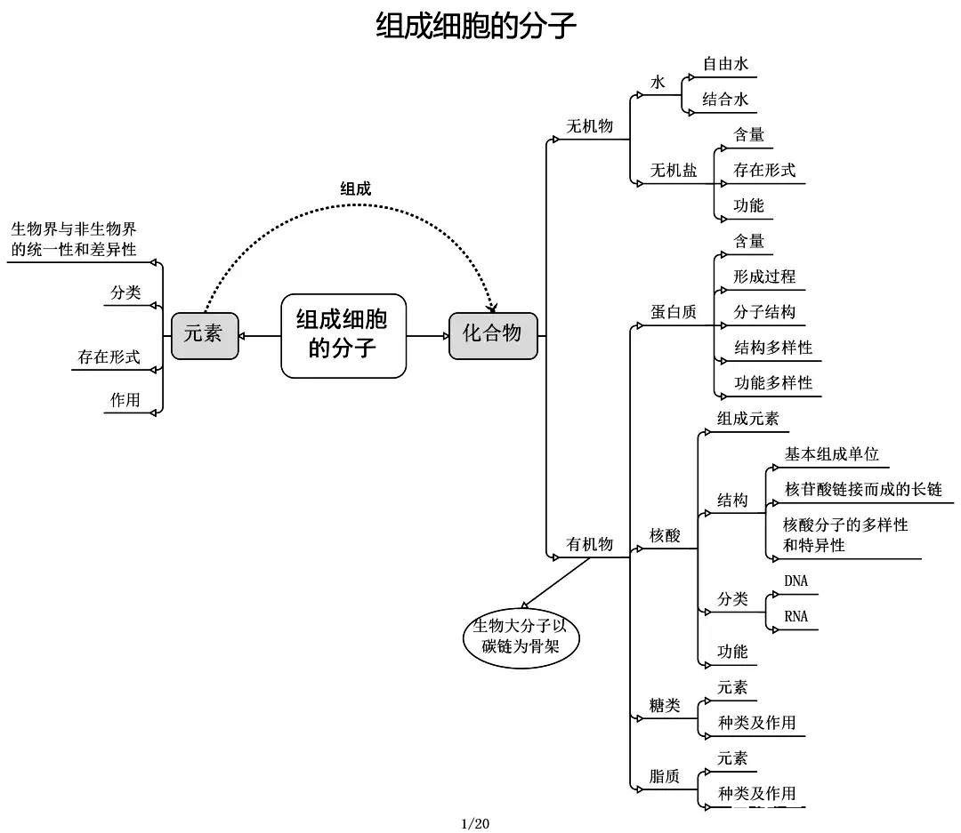 高中生物:必修 選修思維導圖最全歸納,重點知識一覽無餘,收藏