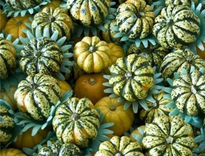 民间最丑的水果,外星人丢弃的,吃起来像果冻,人称"火天桃"