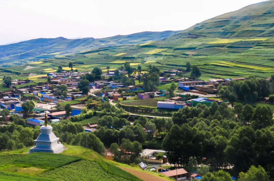 青海最美村庄「峰堆乡上一村」当艺术涂鸦墙绘遇上多彩乡村,夏日风景