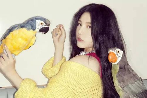 本兮离开多年新歌突然上线,声音依旧美好如初,应景歌曲你听了吗