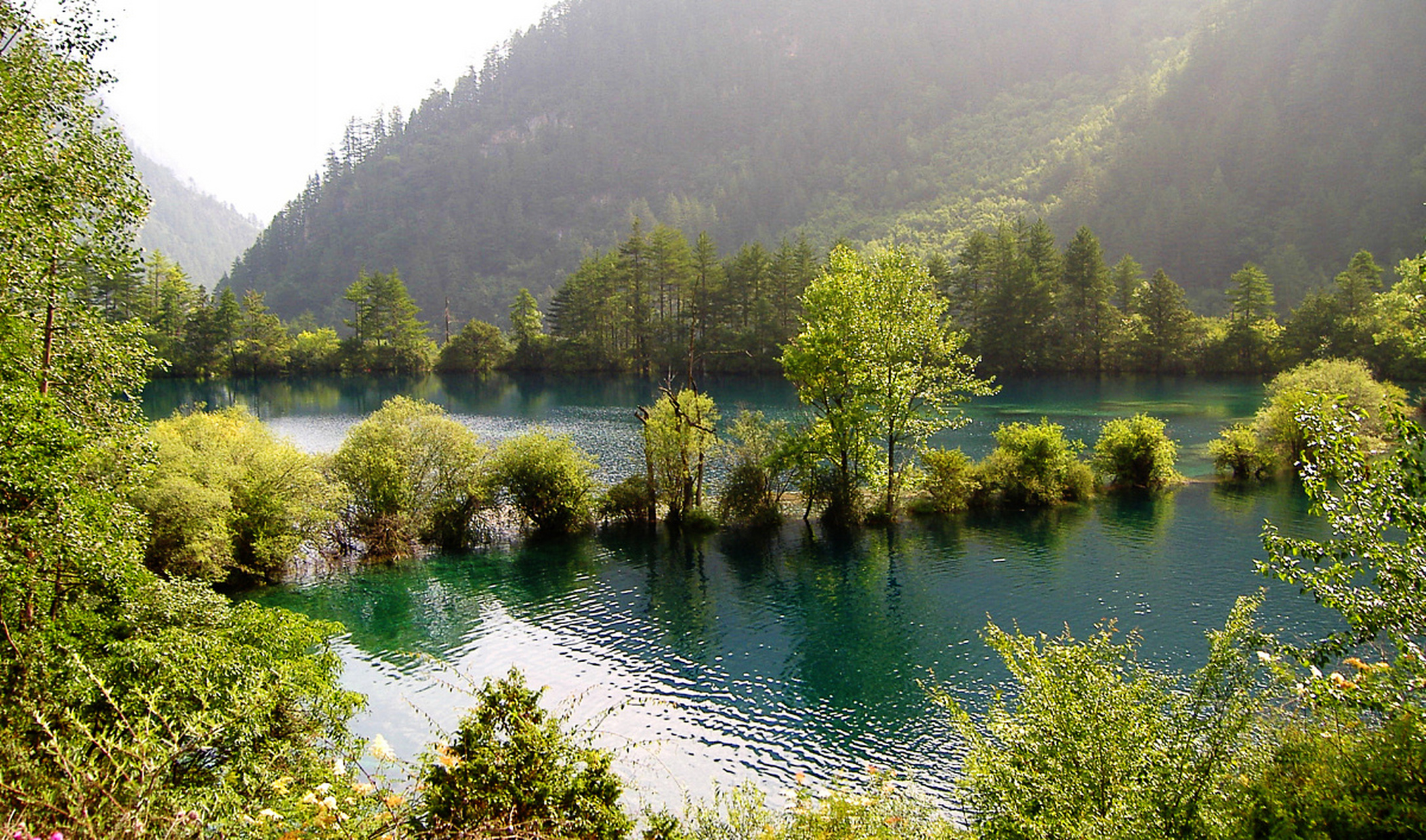 九寨沟被誉为"人间仙境",山清水秀,湖光山色美不胜收.