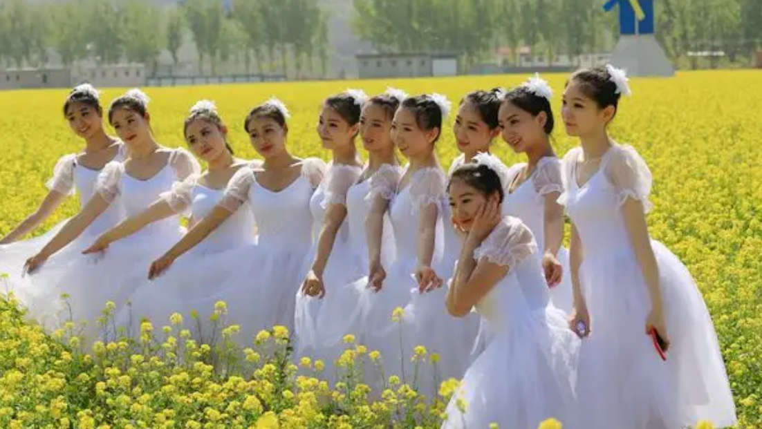 河北十三处油菜花开等你来,配乐《油菜花儿黄》