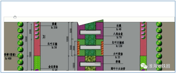 而上下匝道標準段則主要在海帶寬中分帶,側分帶種植麥冬,八角金盤