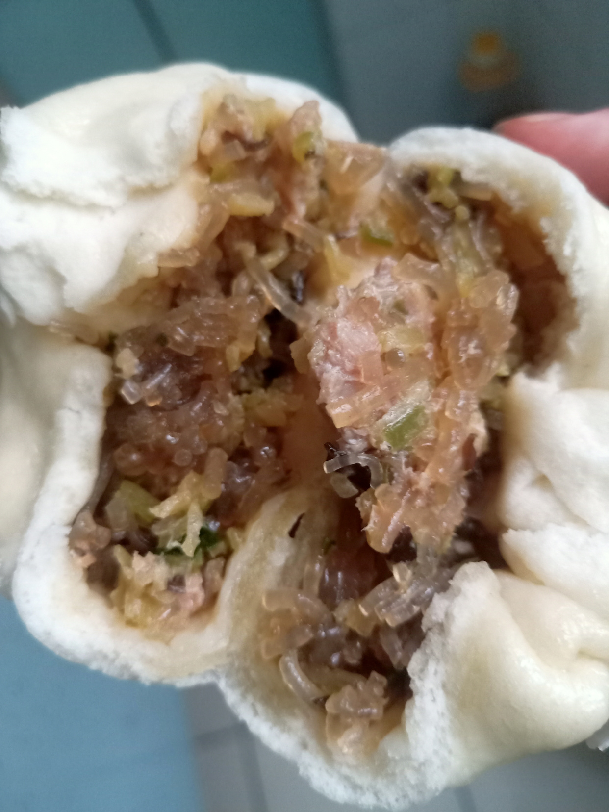 粉条萝卜肉馅包子