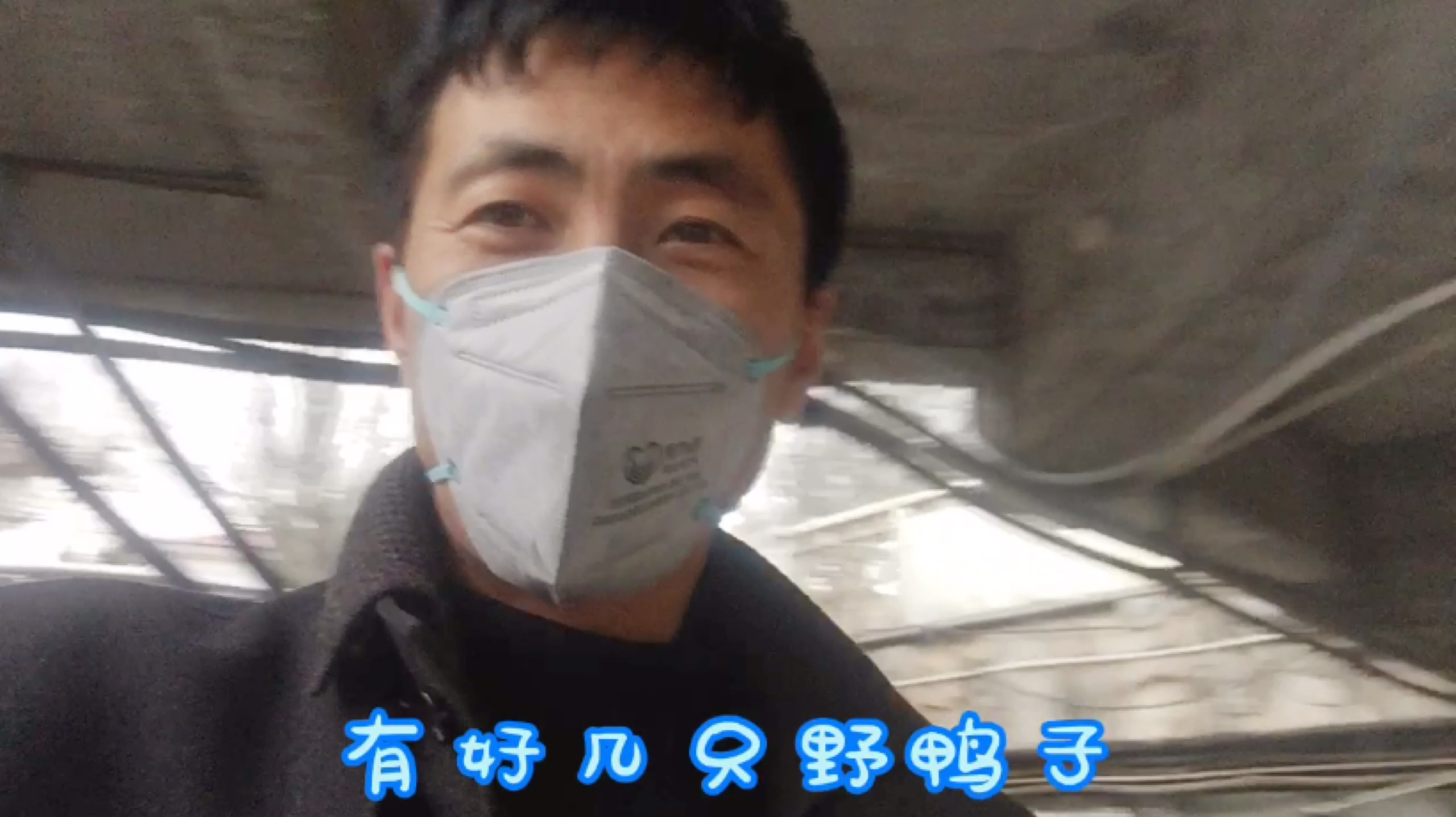 春江水暖鸭先先知,出来透透气,看看松花江上的野鸭子