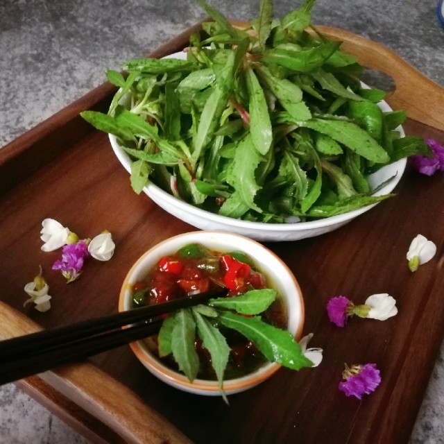 曲曲菜蘸酱,鲜嫩清香,风味独特,春季必吃的时令美味