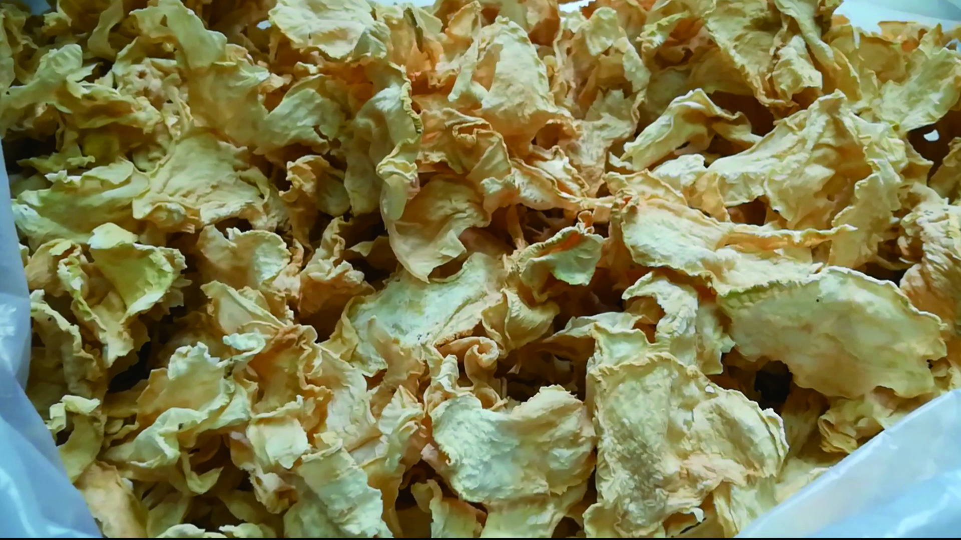 乡下晒的萝卜片干,清炒起来特别香甜脆爽,女儿味口大开连吃两碗