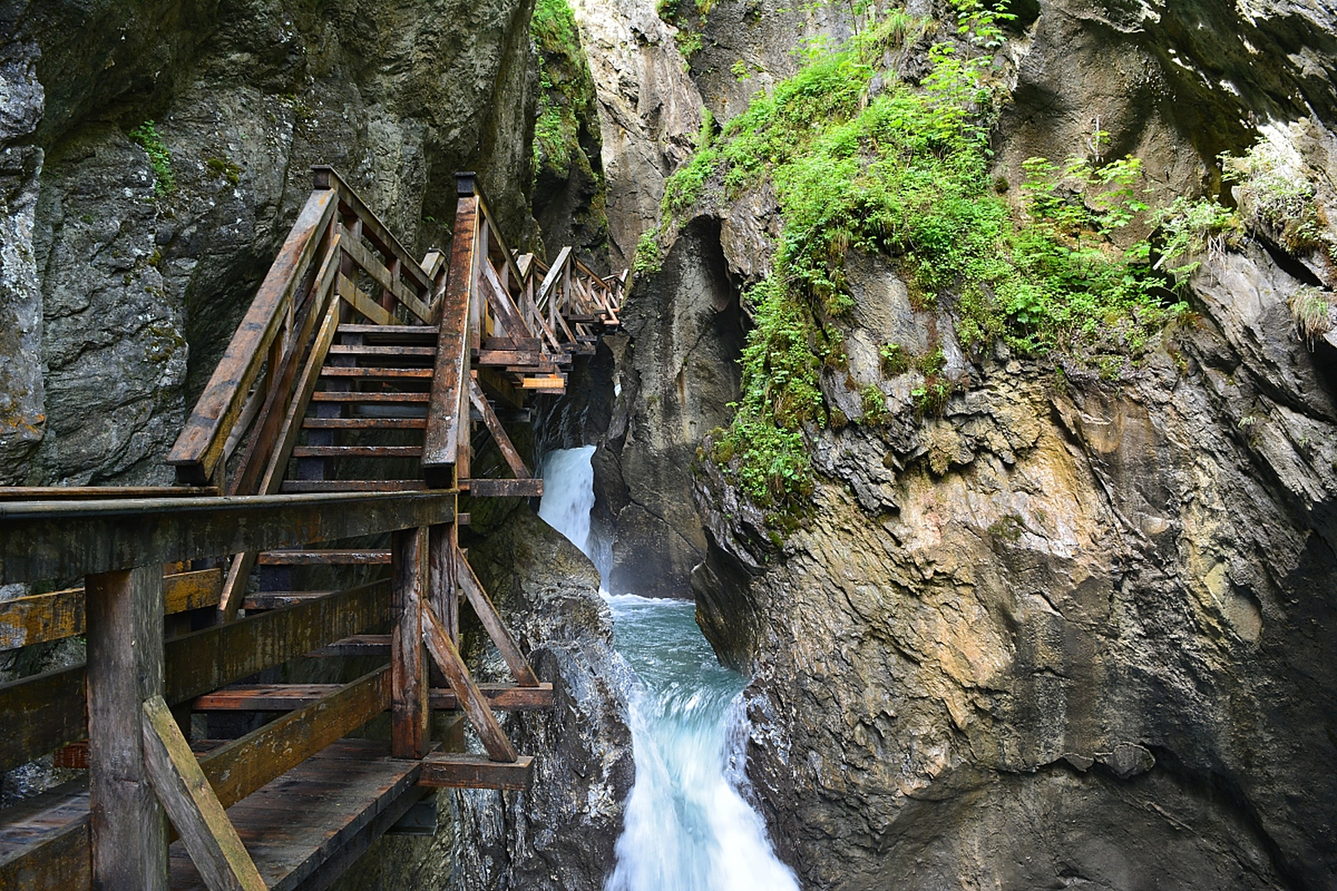 韶关乳源大峡谷,深邃幽美待探寻  阳光穿过叶间的缝隙,洒在静谧的林间