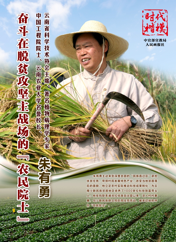 【时代楷模】奋斗在脱贫攻坚主战场的"农民院士"朱有勇