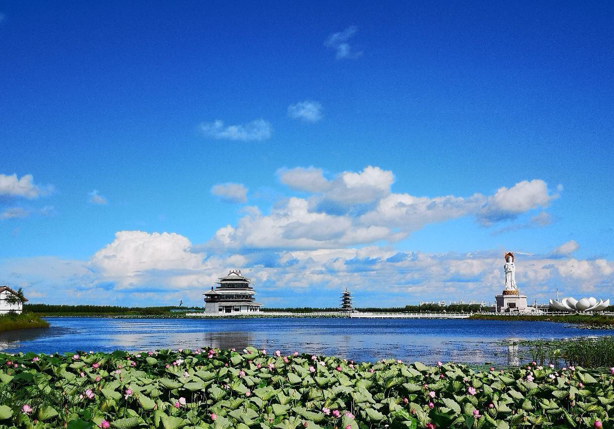 呼兰河口湿地公园位于哈尔滨市区东北部,是松花江与呼兰河交汇处自然