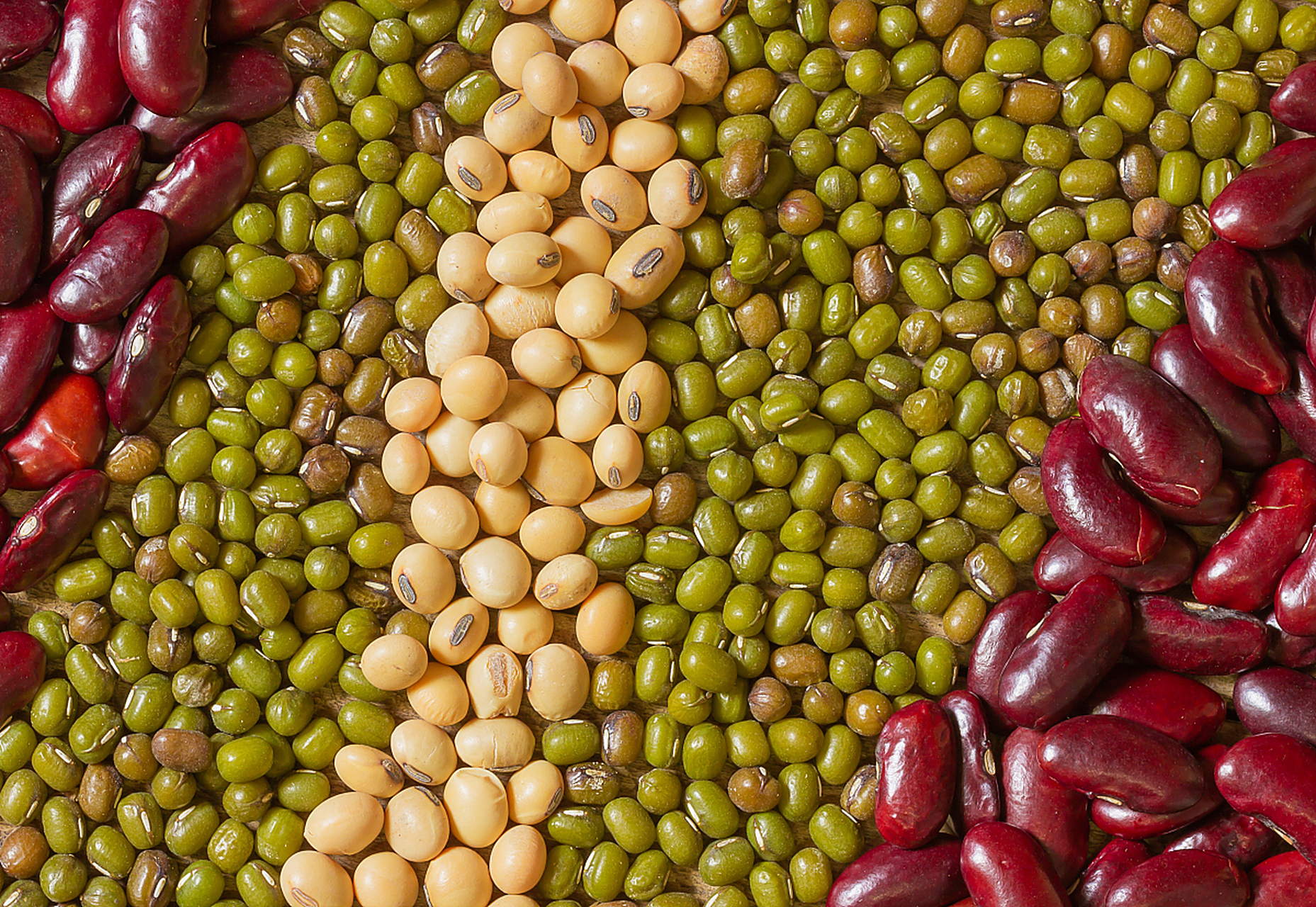 红豆,绿豆,黄豆可以一起吃吗	红豆,绿豆,黄豆可以一起吃.