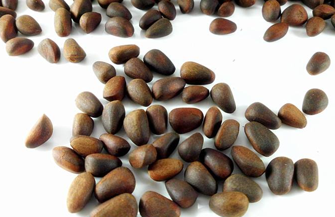 雪松籽是植物雪松的种子,是一种可以食用的坚果食材,它有自然的松香味