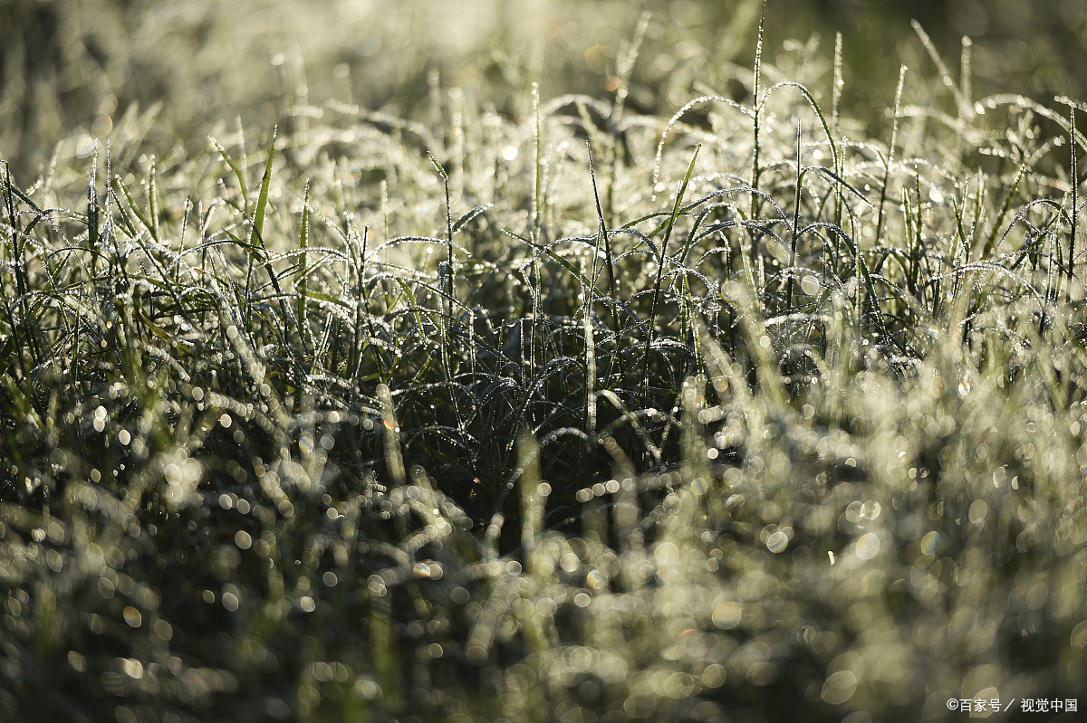 宝藏作者(尾鱼)作品合集