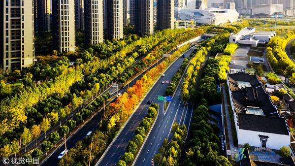 扬子江大道色彩斑斓美景如画