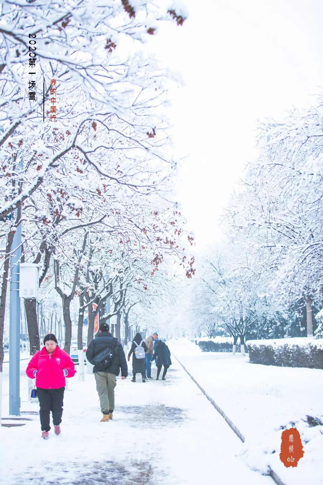 2020年的第一場雪,距離2002年的第一場雪,已經18年了!