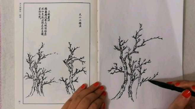 [图]国画练习：《芥子园画传》树谱，三棵树的画法（一）