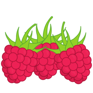 raspberry 树莓 for dessert, i dig into the  raspberry bread