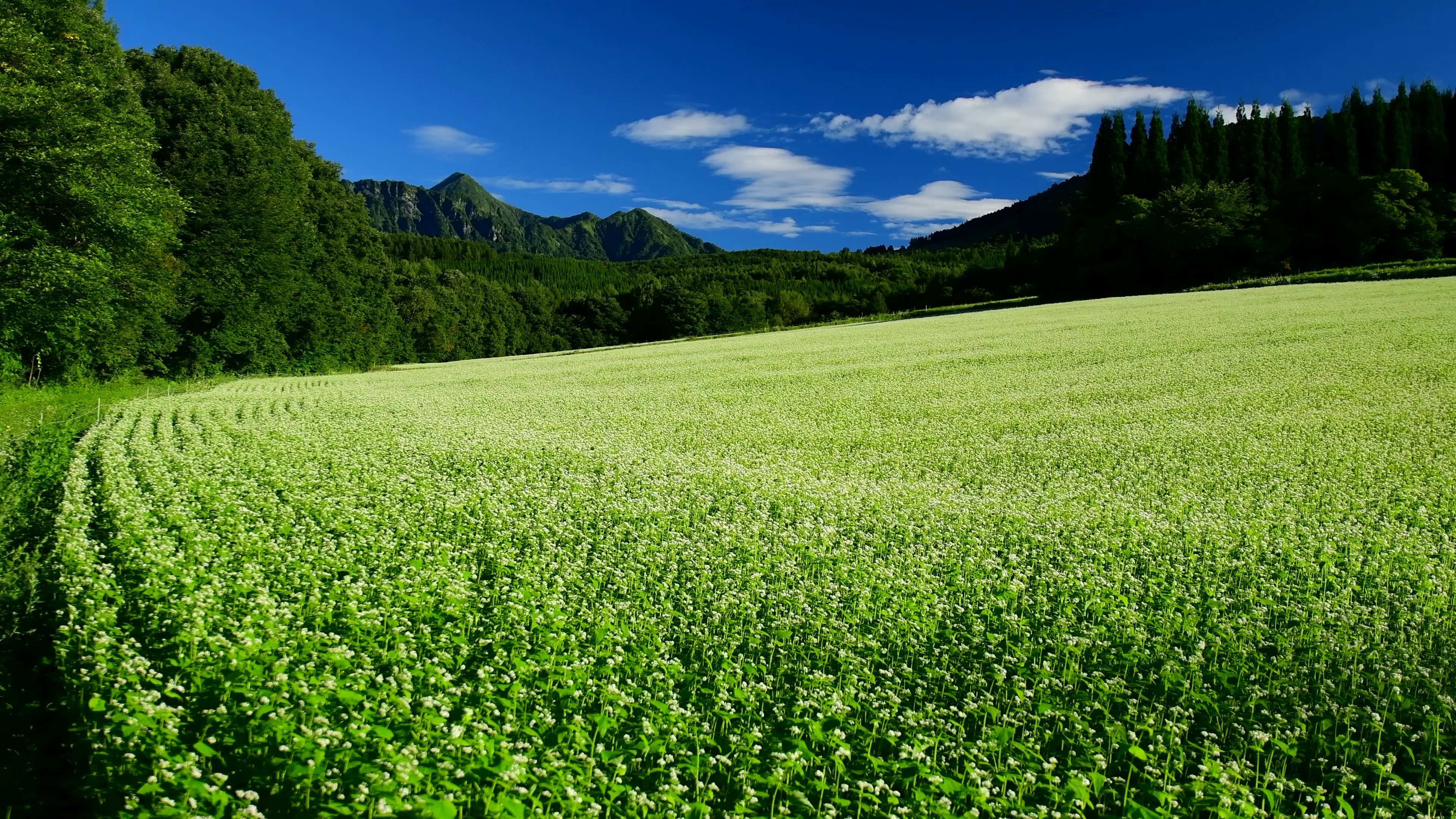 看看风景 | 第十一期