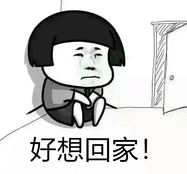 對不起!今年我不能回家過年了