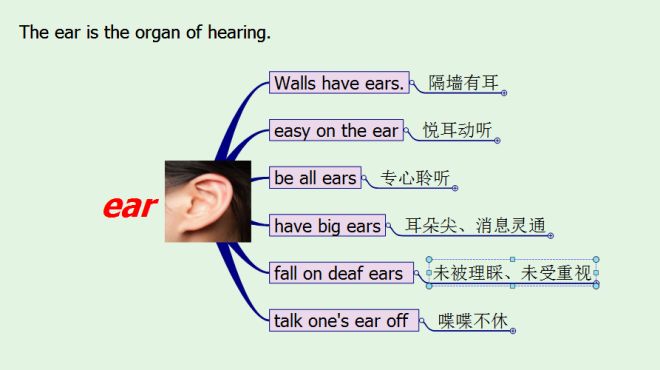 [图]michigan原创英语：隔墙真的有“耳”（ears）吗？