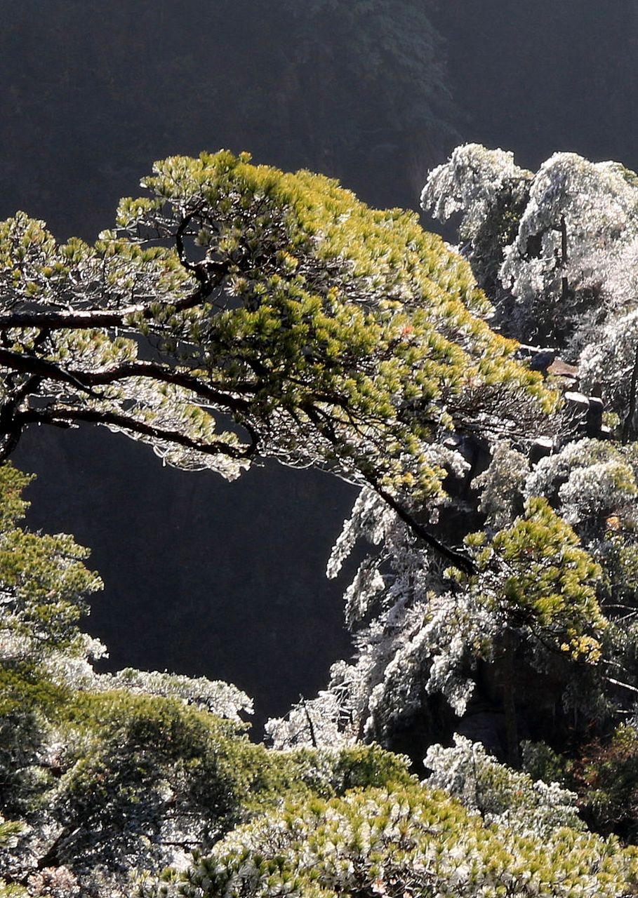 大邑县雾山风景图片