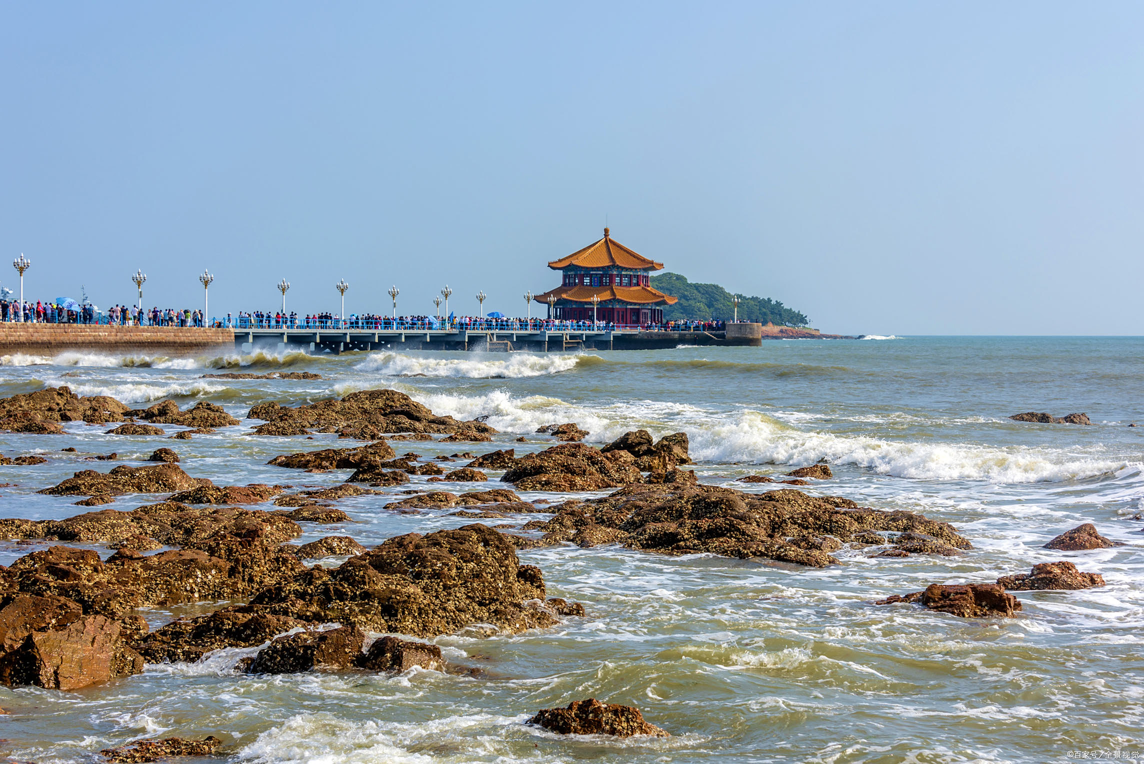 青岛,为什么单单对你情有独钟?