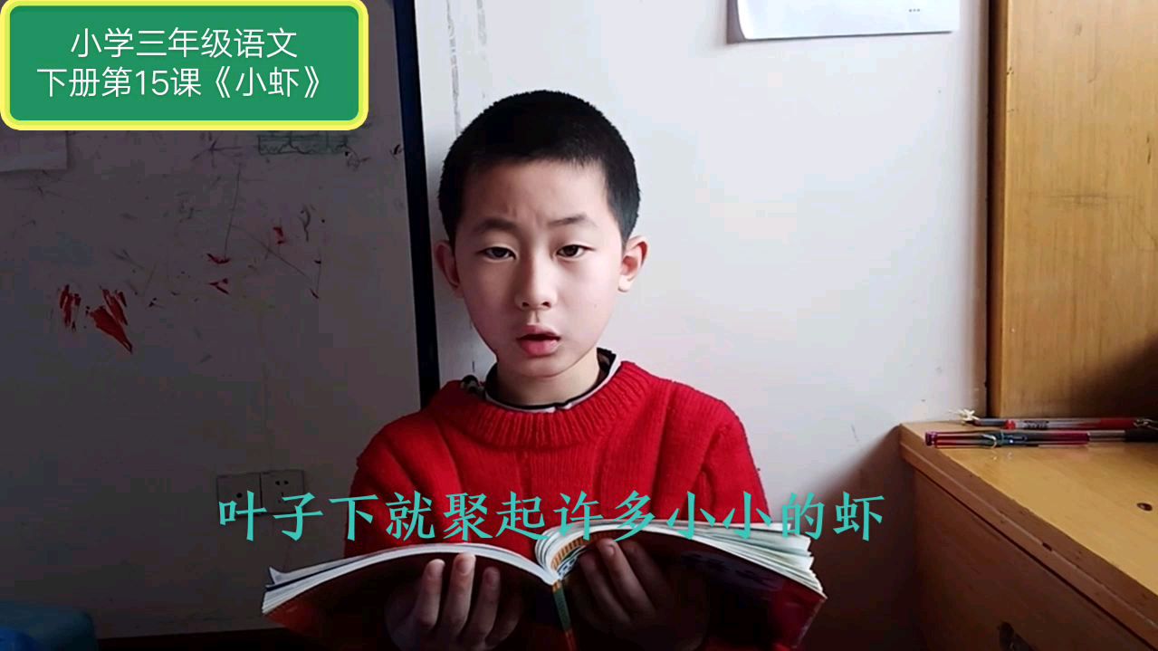 小学生读课文:三年级语文下册第十五课 小虾