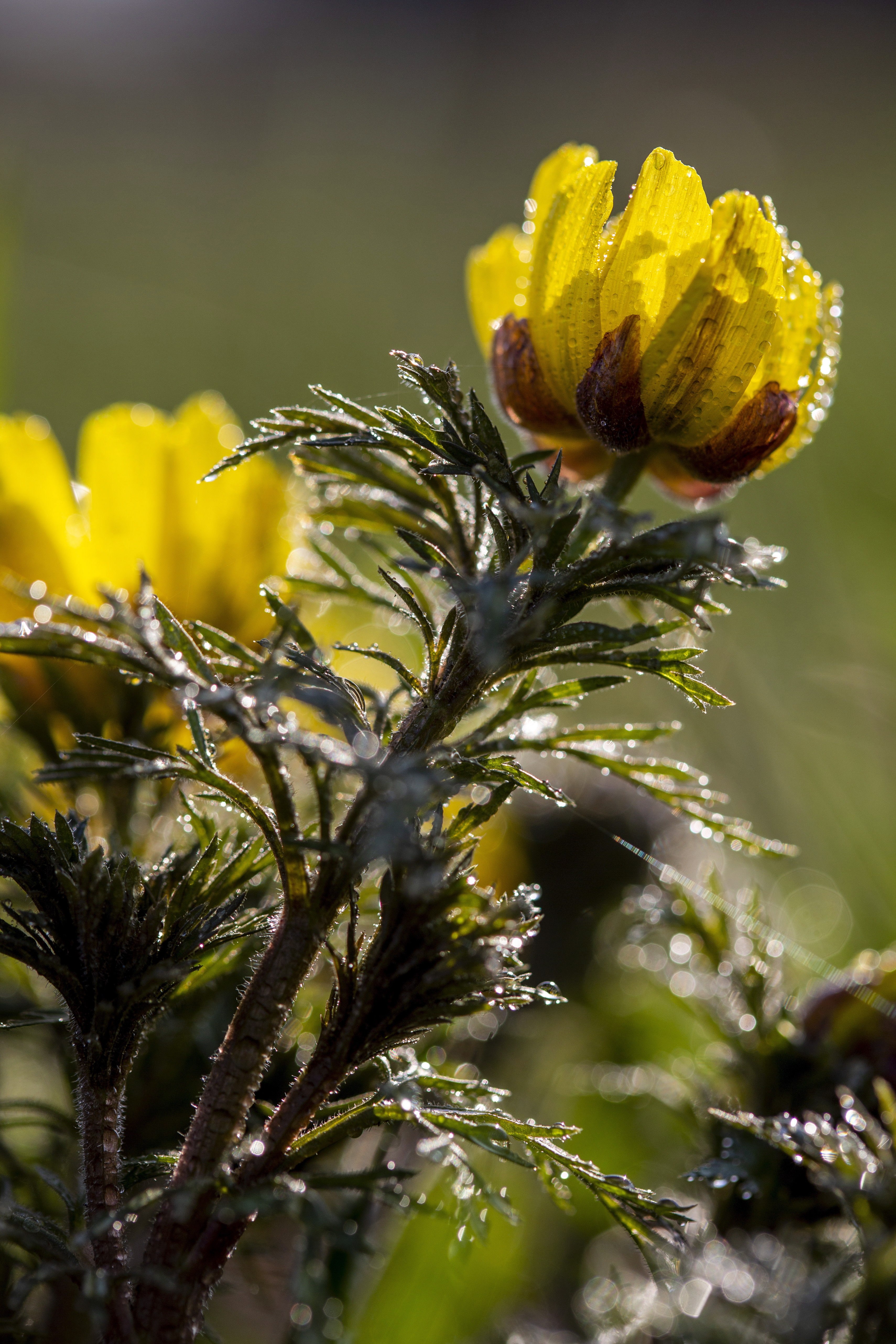 新华社照片,外代,2020年3月19日    (外代二线)