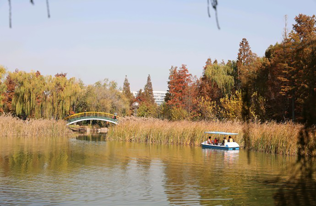 在青島除了信號山,更值得來世紀公園,更是奧林匹克雕塑文化園