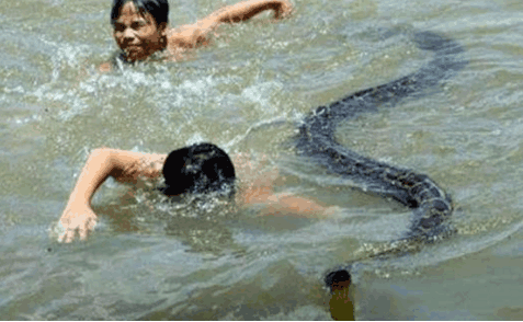 小孩河里游泳图片