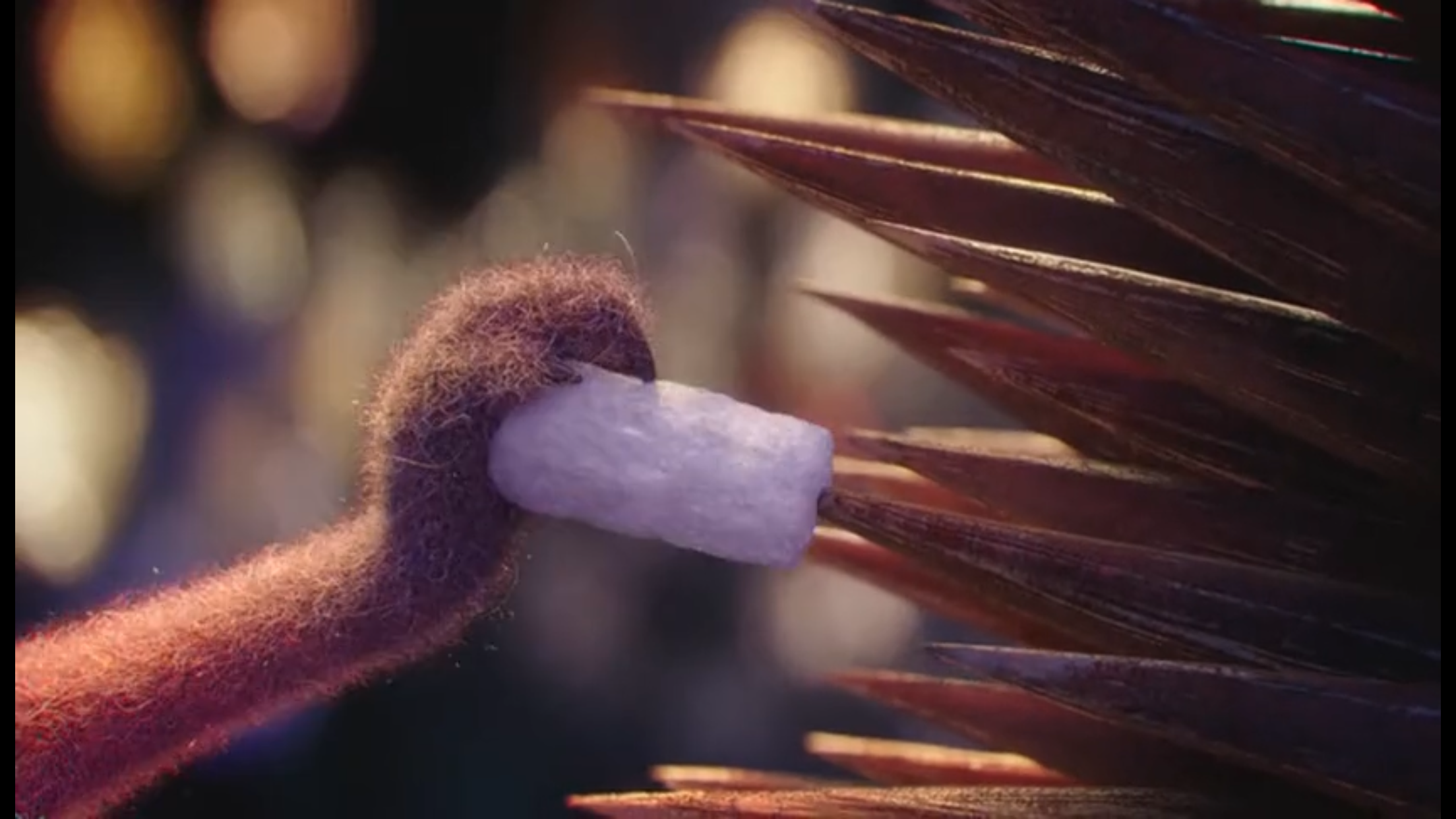 圣诞短片《相信爱》:冬日里的温暖