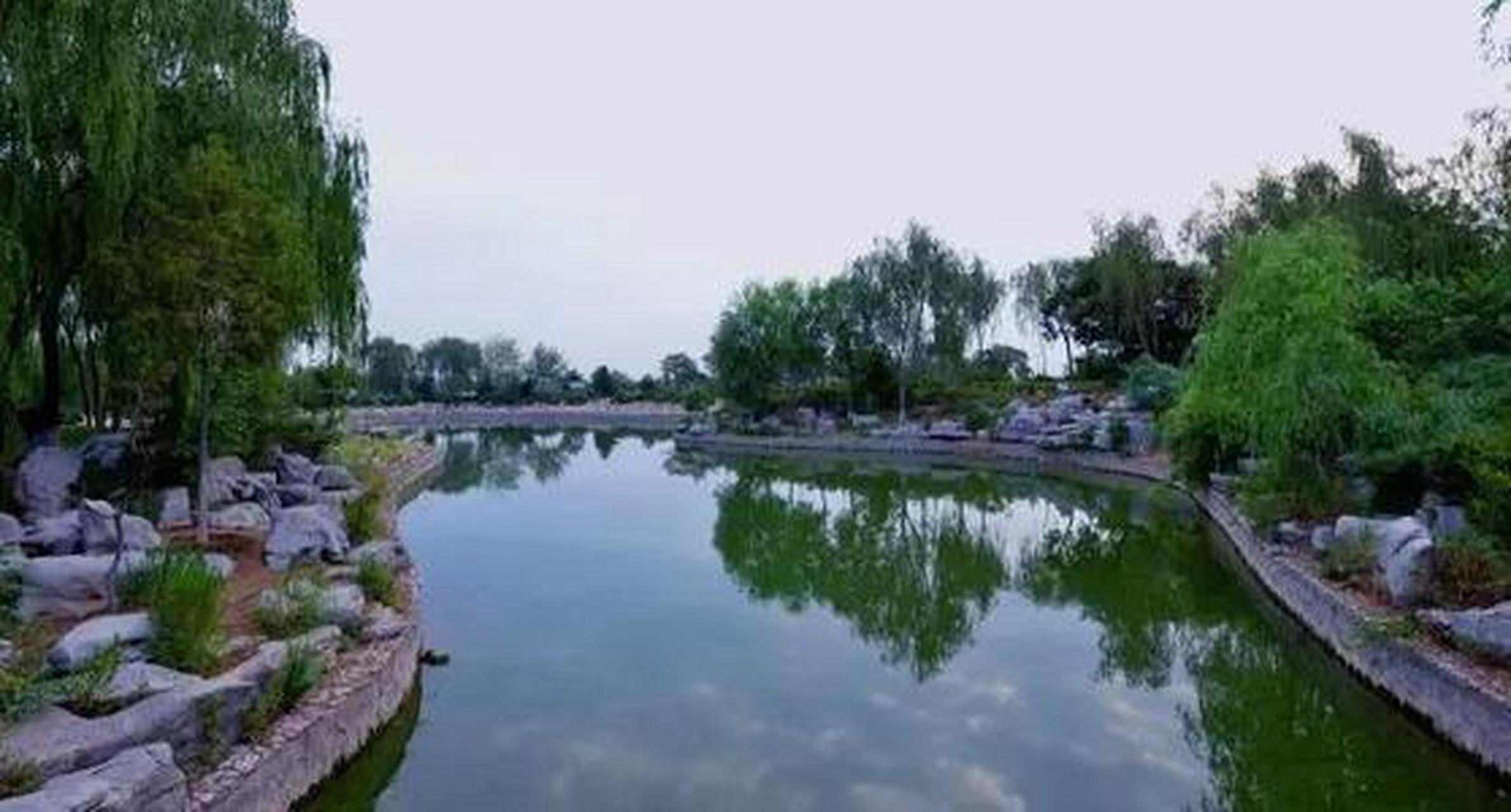 河北哪里有月季基地