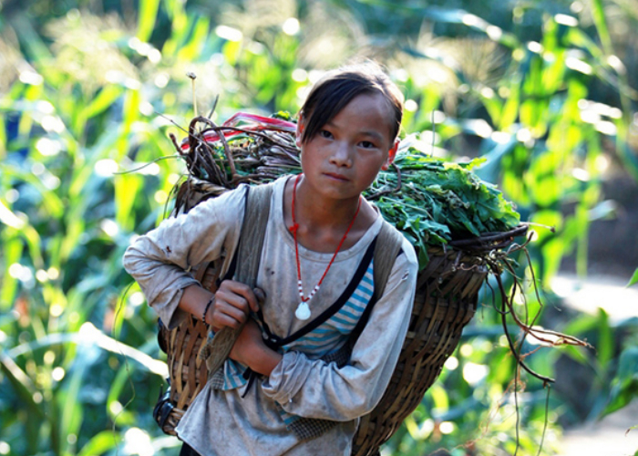 残疾姐姐捡破烂养俩弟弟,10年后母亲开豪车回家,兄弟俩怒砸豪车