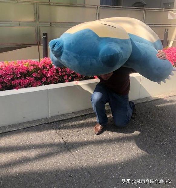 日本搬家工扛巨大卡比兽走红网络!