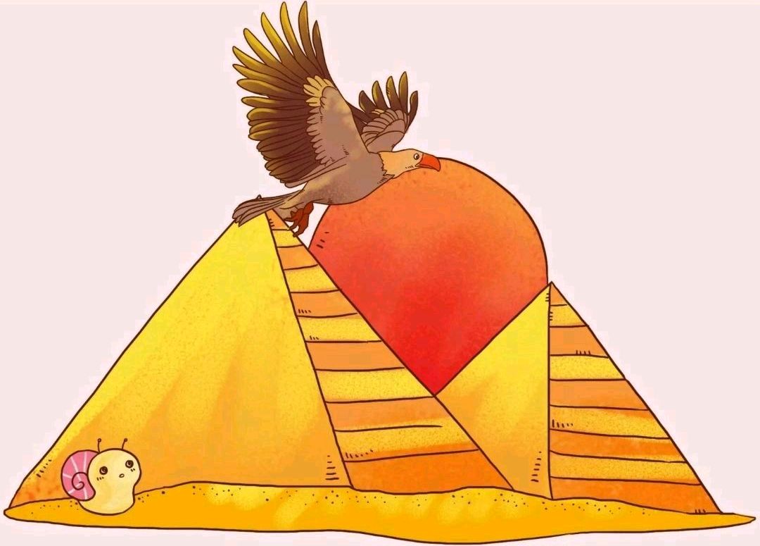 金字塔顶端的蜗牛